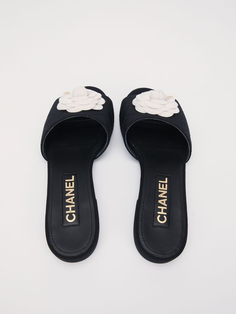 Black & White Camellia Mules