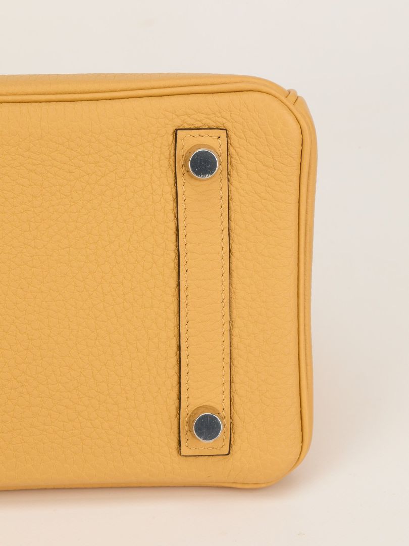 Birkin 25 Paille Veau Togo With PHW 2025 K Stamp