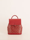 Rouge Mini Alpin Backpack