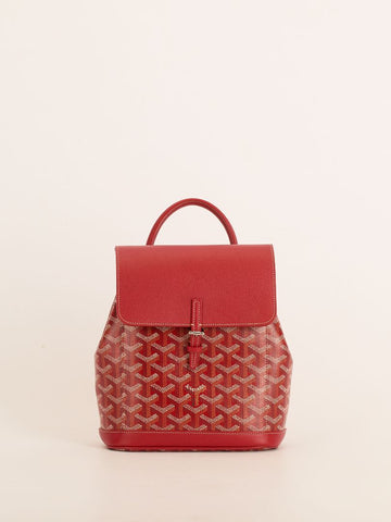 Rouge Mini Alpin Backpack