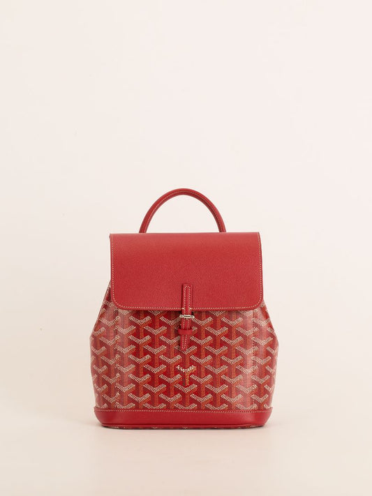 Rouge Mini Alpin Backpack