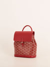 Rouge Mini Alpin Backpack