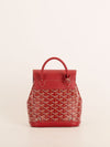 Rouge Mini Alpin Backpack