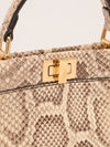 Beige & Multi Mini Python Leather Peekaboo Handbag