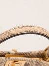 Beige & Multi Mini Python Leather Peekaboo Handbag