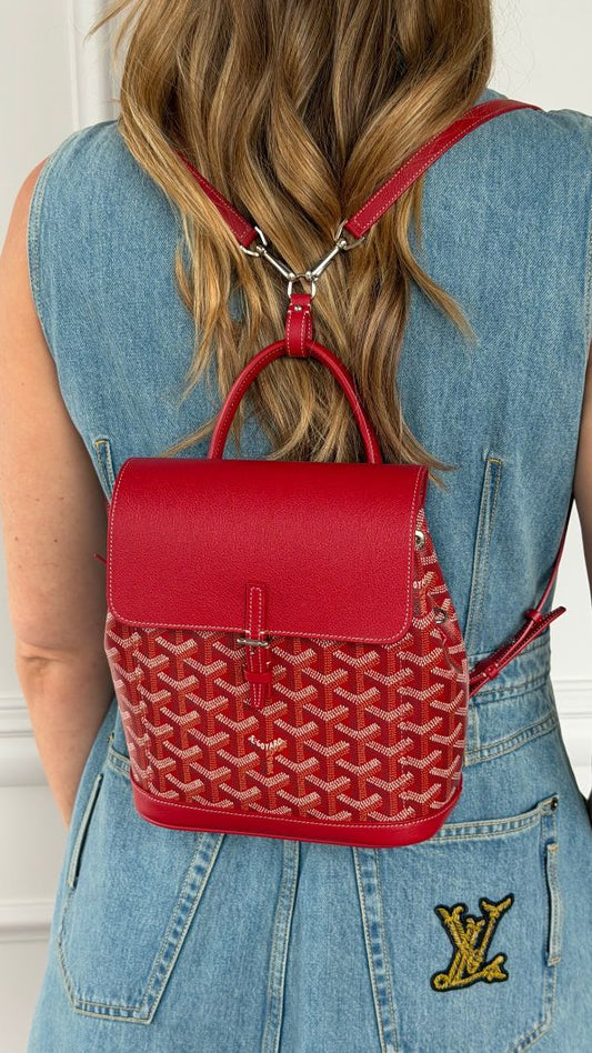 Rouge Mini Alpin Backpack