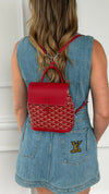 Rouge Mini Alpin Backpack