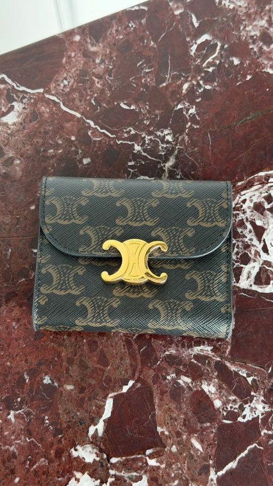 Small Flap Triomphe Wallet In Triomphe Canvas