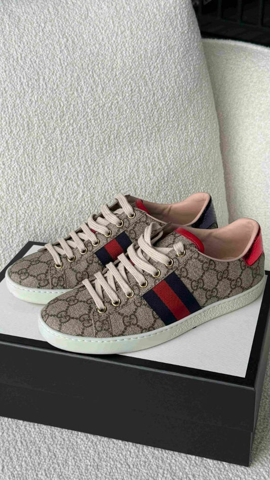 Blue & Red Ace GG Supreme Low Top Sneaker